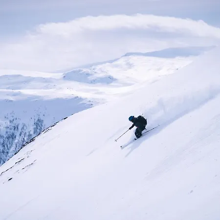 Gullstrupa, Spacious Family In Hemsedal
