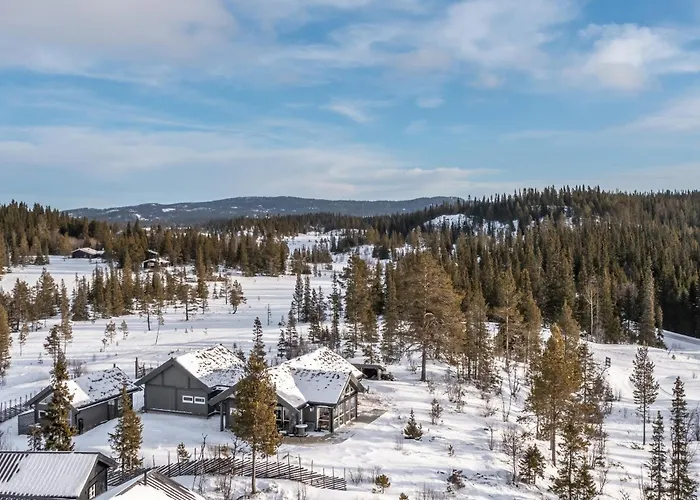 Gullstrupa, Spacious Family In * Hemsedal